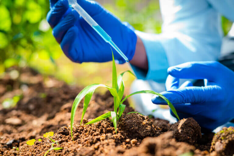 Female,Science,Biology,Laboratory,Worker,Using,Pipette,,Test,Tubes,,Microscope